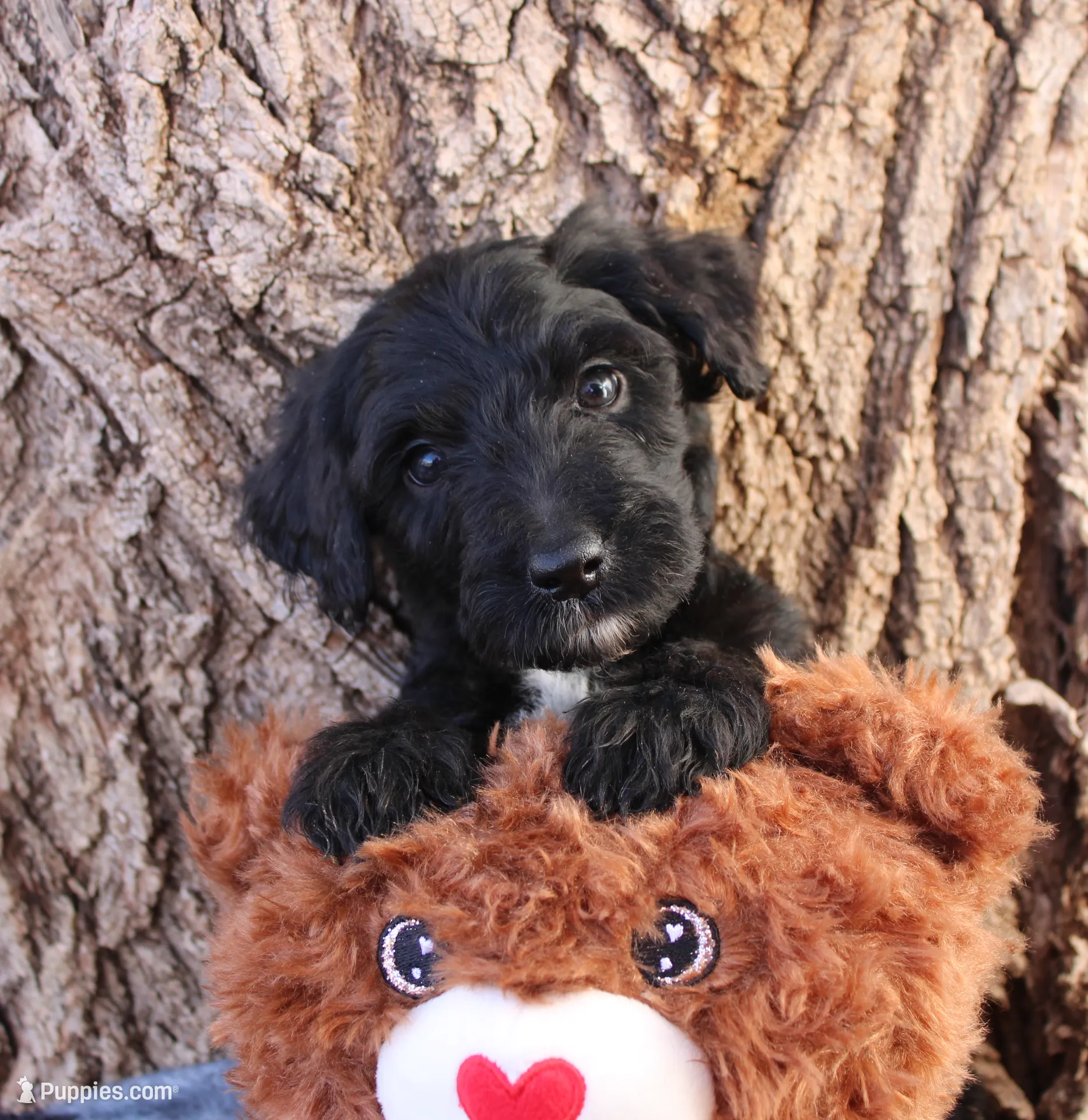 processed/edf1c1d9-96d9-4d46-a9db-dbf371521bda/listing/8a2a8cfb-edee-4612-93db-131f8d39914b/cec33cb2-d6c3-41b1-9ad2-77ef6954462d