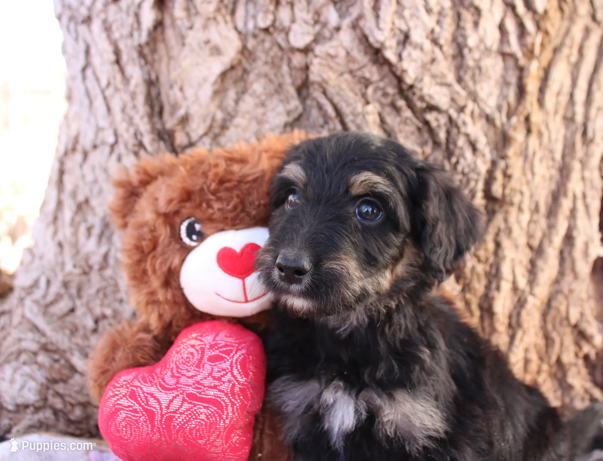 processed/edf1c1d9-96d9-4d46-a9db-dbf371521bda/listing/98f575e4-c0d6-4acd-9175-bf599ed15f18/34453590-b623-46f6-a0a8-881a30bc7df2