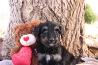 processed/edf1c1d9-96d9-4d46-a9db-dbf371521bda/listing/98f575e4-c0d6-4acd-9175-bf599ed15f18/4c036132-eedf-499f-8602-1032d0cbcd63