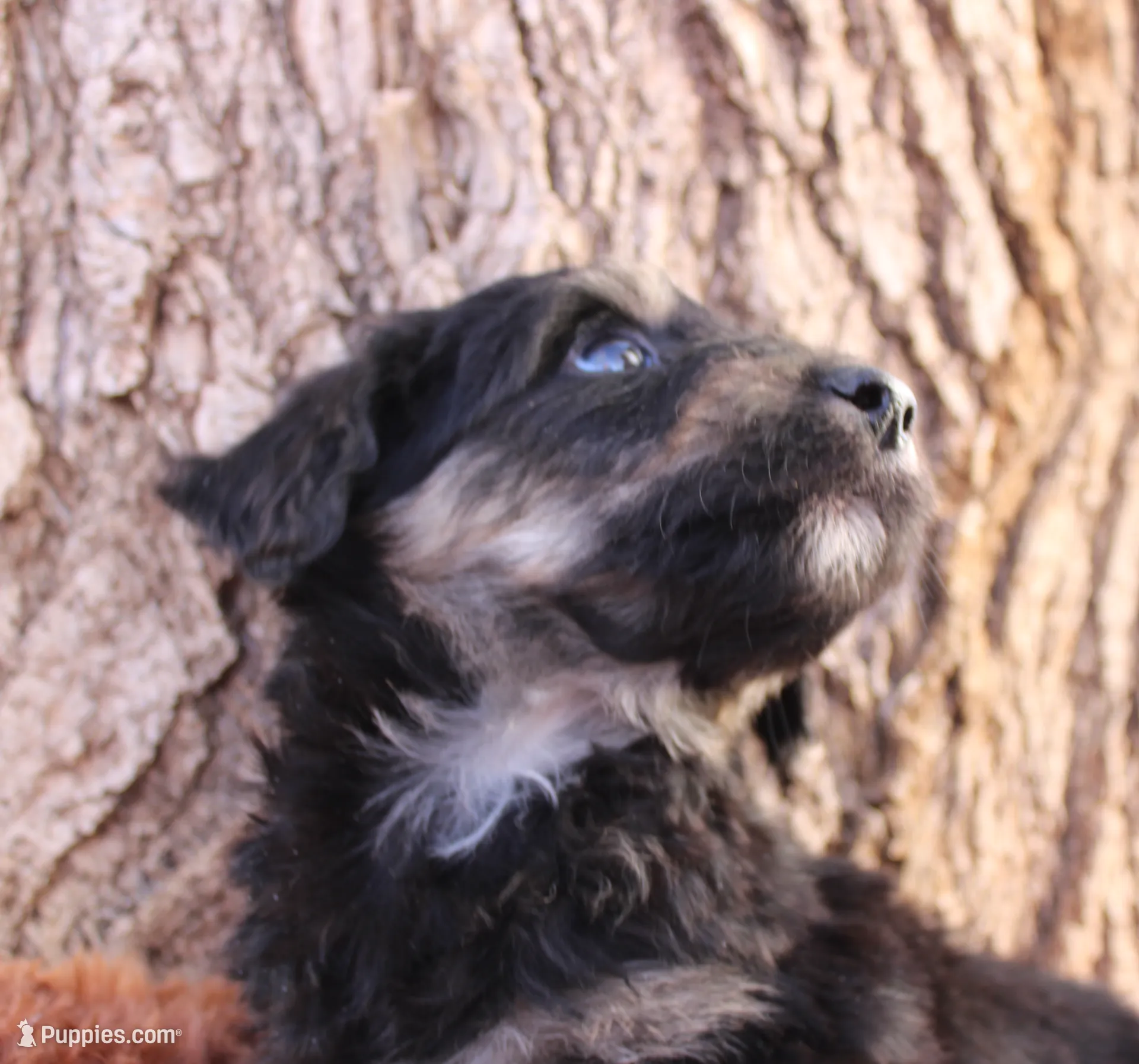 processed/edf1c1d9-96d9-4d46-a9db-dbf371521bda/listing/98f575e4-c0d6-4acd-9175-bf599ed15f18/735870a6-36a4-489c-aa3d-f3e3ad5cd49d