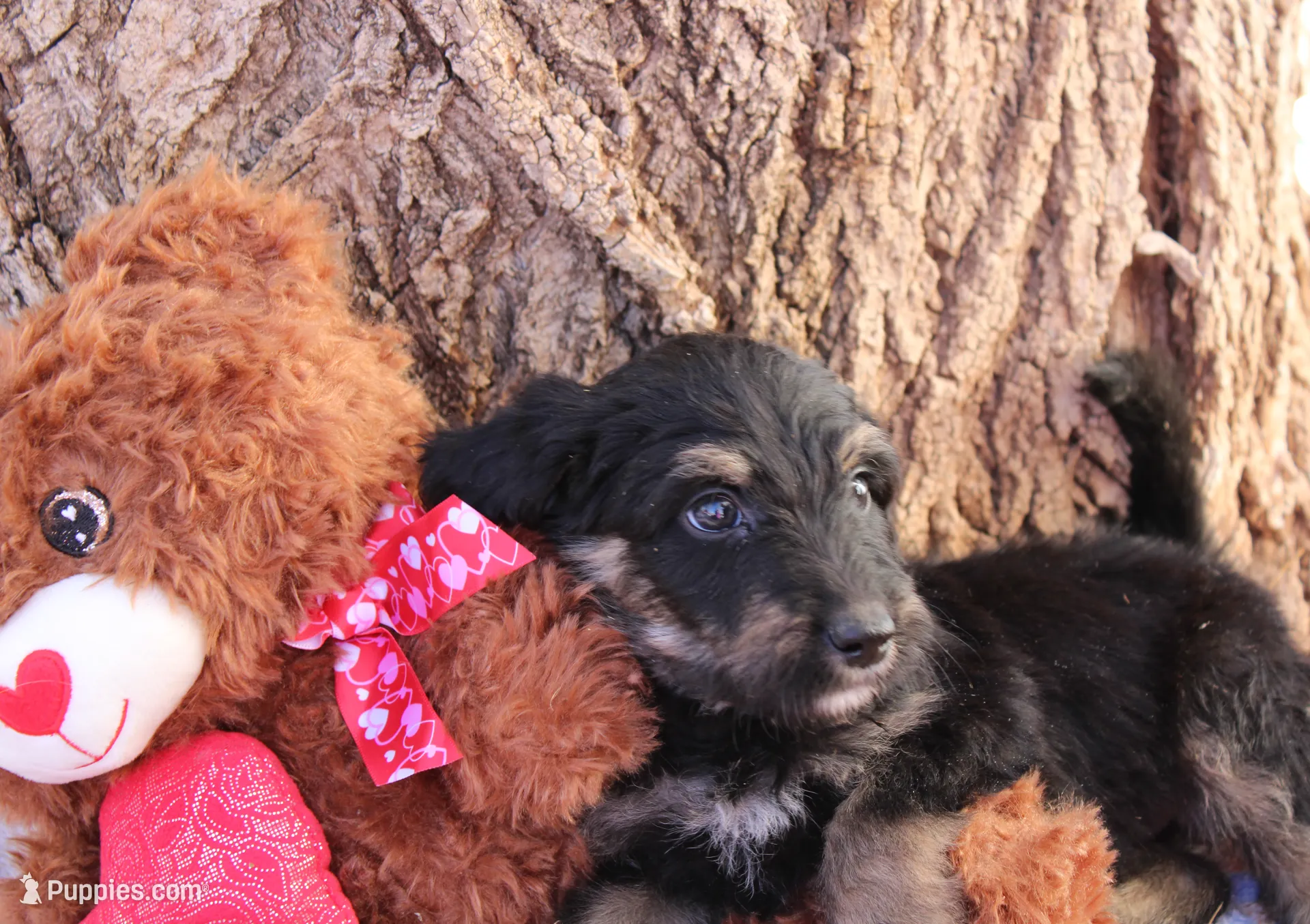 processed/edf1c1d9-96d9-4d46-a9db-dbf371521bda/listing/98f575e4-c0d6-4acd-9175-bf599ed15f18/f76c45f7-6d7a-46bf-a781-0a5331128963