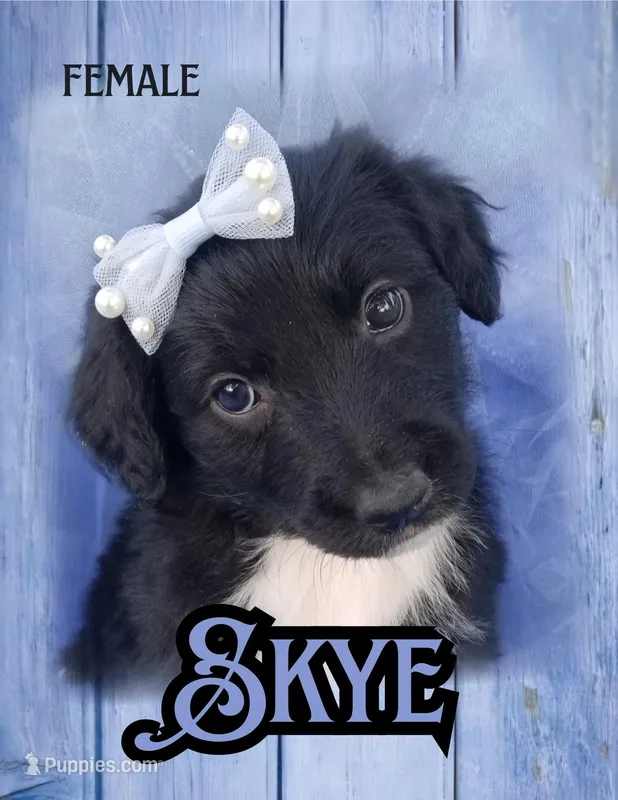 Skye