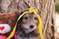 processed/edf1c1d9-96d9-4d46-a9db-dbf371521bda/listing/e0ab52de-4da1-4f7f-af4b-7ae7228e7cb2/11b19626-6a47-49ce-a92c-78137d38b0e7