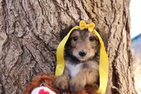 processed/edf1c1d9-96d9-4d46-a9db-dbf371521bda/listing/e0ab52de-4da1-4f7f-af4b-7ae7228e7cb2/135893aa-db17-431e-b5b5-5d6c8672c84b