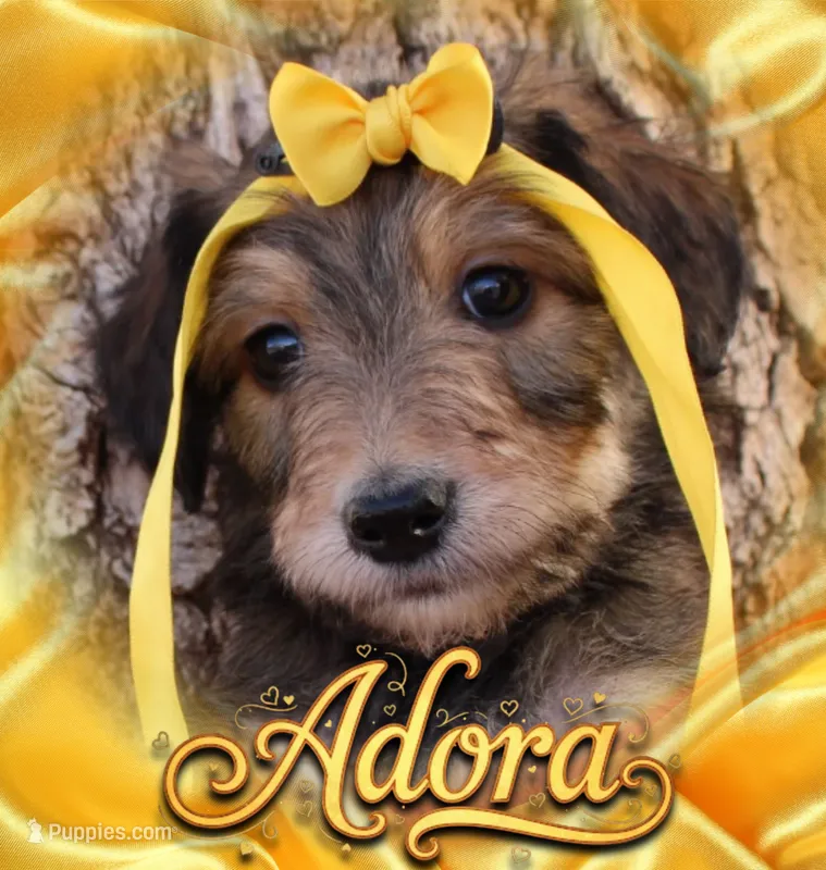 Adora