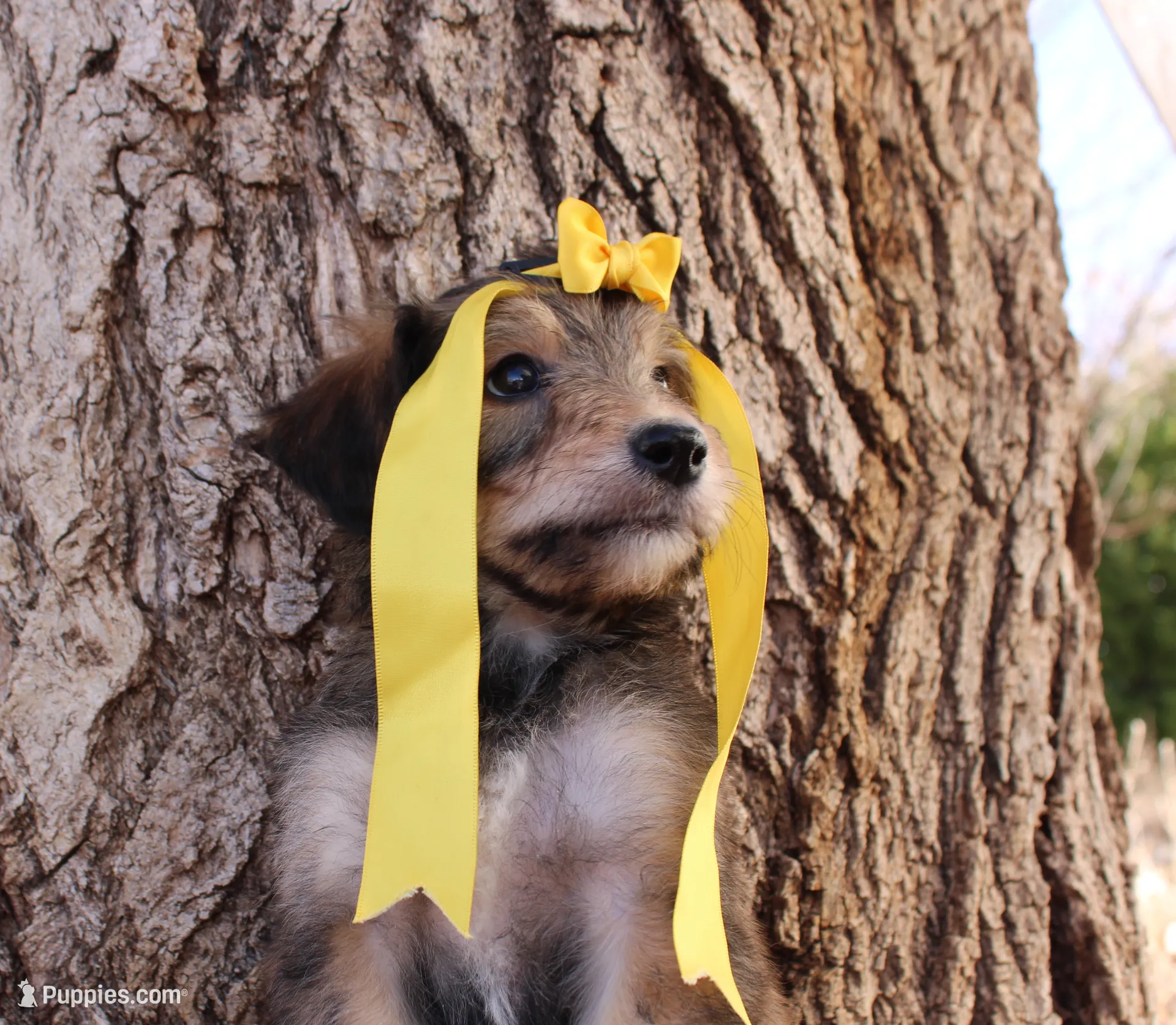 processed/edf1c1d9-96d9-4d46-a9db-dbf371521bda/listing/e0ab52de-4da1-4f7f-af4b-7ae7228e7cb2/ba53def9-8b85-45a4-b96f-2c64f0b6d376