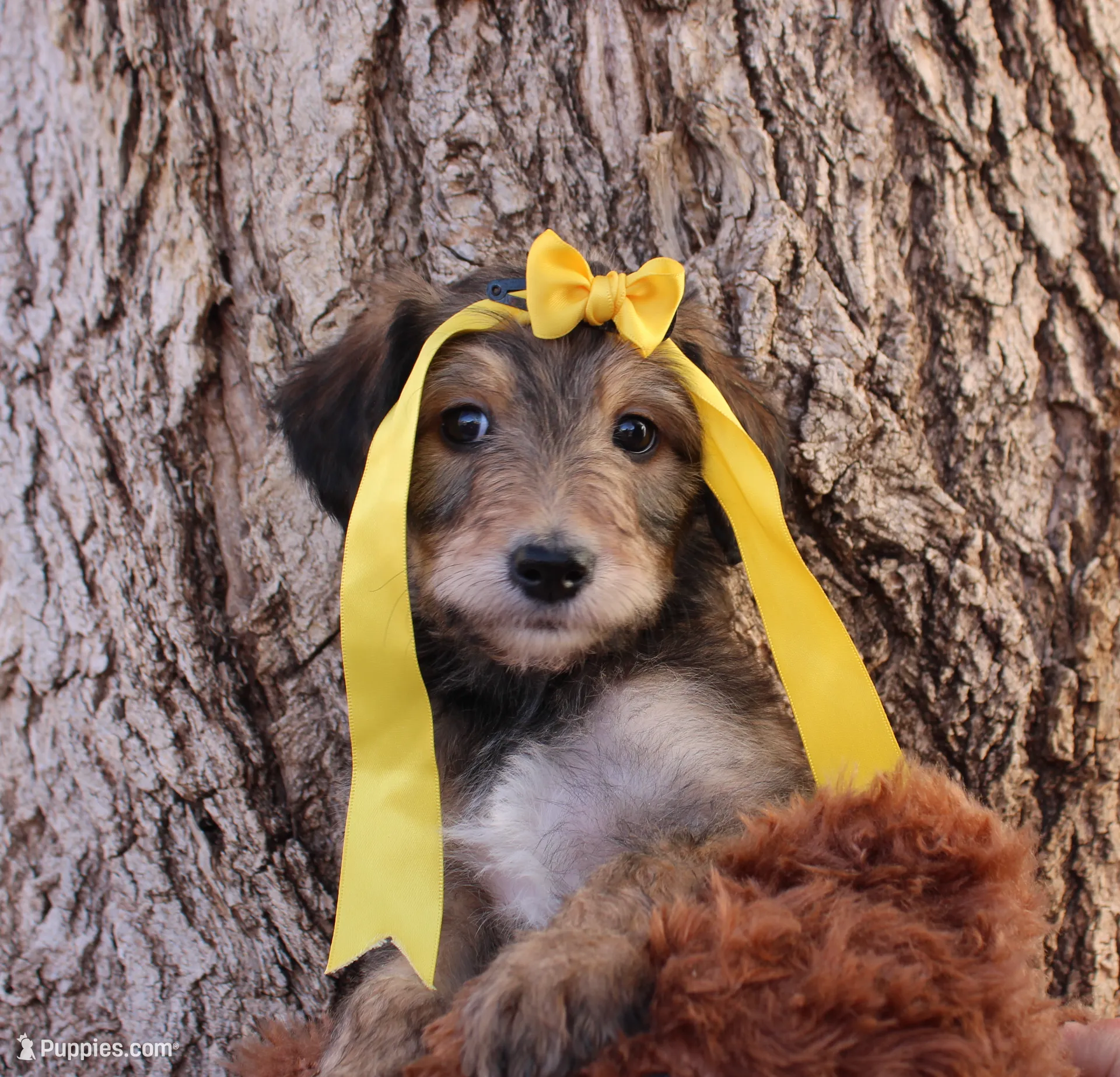 processed/edf1c1d9-96d9-4d46-a9db-dbf371521bda/listing/e0ab52de-4da1-4f7f-af4b-7ae7228e7cb2/d1de486c-1f21-43c6-a500-35db404f7aee