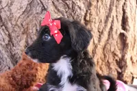 processed/edf1c1d9-96d9-4d46-a9db-dbf371521bda/listing/e4e8a72d-21f8-40aa-be61-d122099c939a/0b967495-6221-4ef4-a23e-cfb38defd573