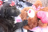 processed/edf1c1d9-96d9-4d46-a9db-dbf371521bda/listing/e4e8a72d-21f8-40aa-be61-d122099c939a/18f2745f-d080-49ed-b5ba-dee0a58f7f26