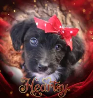 processed/edf1c1d9-96d9-4d46-a9db-dbf371521bda/listing/e4e8a72d-21f8-40aa-be61-d122099c939a/58ea8c11-9a3f-4f9d-a17b-3764868d3126