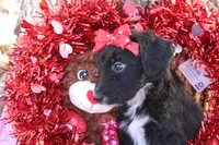 processed/edf1c1d9-96d9-4d46-a9db-dbf371521bda/listing/e4e8a72d-21f8-40aa-be61-d122099c939a/65583677-5f39-4fa2-97a3-d9781bdd0c22