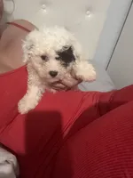 processed/edf1c7fb-dfea-4143-9672-b452f61e0e64/listing/10c7ad6b-13e3-4390-90b4-9ca8bced1bcc/c066193f-36bd-435d-ae8b-69186659670f