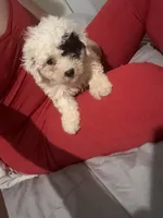 processed/edf1c7fb-dfea-4143-9672-b452f61e0e64/listing/10c7ad6b-13e3-4390-90b4-9ca8bced1bcc/c9baa25a-9879-49ae-bdde-5bee5d0e4c93