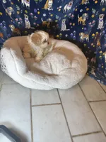 processed/edf1c7fb-dfea-4143-9672-b452f61e0e64/listing/5b3178c9-1b50-4557-942e-99be1f967bde/122bc9ac-729b-48f2-89a3-b5a427431802