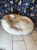 processed/edf1c7fb-dfea-4143-9672-b452f61e0e64/listing/5b3178c9-1b50-4557-942e-99be1f967bde/b4f93852-7e5a-4d15-9173-a90cb5778a10