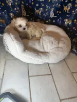 processed/edf1c7fb-dfea-4143-9672-b452f61e0e64/listing/5b3178c9-1b50-4557-942e-99be1f967bde/fce46dd8-f89b-4de3-b6f1-3a5e18f9f323