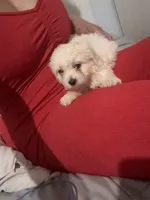 processed/edf1c7fb-dfea-4143-9672-b452f61e0e64/listing/873ee6fa-2d89-4f9c-bca8-5009aa5a5f77/1696902e-7b3c-4dcd-a762-fc27063b960c