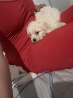 processed/edf1c7fb-dfea-4143-9672-b452f61e0e64/listing/873ee6fa-2d89-4f9c-bca8-5009aa5a5f77/d44b35fc-aea3-4900-87d9-f58425b2f9f4