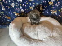 processed/edf1c7fb-dfea-4143-9672-b452f61e0e64/listing/ab2d9983-b0bd-4667-bb71-e6d487a867b0/9c137b2d-ce0b-4f87-b08a-94438e5e5674