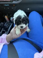 processed/edf1c7fb-dfea-4143-9672-b452f61e0e64/listing/bb83c5a5-1e15-4cde-b872-f5df5bd45fbf/0c2ea7ff-3af6-4817-b679-597049f03a71