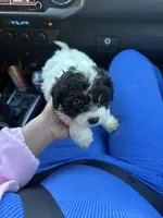 processed/edf1c7fb-dfea-4143-9672-b452f61e0e64/listing/bb83c5a5-1e15-4cde-b872-f5df5bd45fbf/1a33131c-8e0d-430a-ba0d-d76ece8e5d56