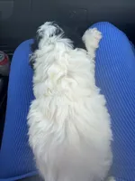 processed/edf1c7fb-dfea-4143-9672-b452f61e0e64/listing/bb83c5a5-1e15-4cde-b872-f5df5bd45fbf/1d420ac5-46b0-479d-9035-e2fafbdf2cb3