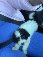 processed/edf1c7fb-dfea-4143-9672-b452f61e0e64/listing/bece3b52-bc42-4ece-8d60-62557218484a/2d615958-56a9-45d7-894e-f4e93b9002fc