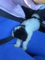 processed/edf1c7fb-dfea-4143-9672-b452f61e0e64/listing/bece3b52-bc42-4ece-8d60-62557218484a/36eb624a-c071-4e38-9c9a-79a740fe31e9