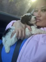 processed/edf1c7fb-dfea-4143-9672-b452f61e0e64/listing/bece3b52-bc42-4ece-8d60-62557218484a/51624e16-87f8-4563-a441-94fe042eb6bd