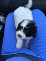 processed/edf1c7fb-dfea-4143-9672-b452f61e0e64/listing/bece3b52-bc42-4ece-8d60-62557218484a/998f2dfd-9382-44d7-89f2-0bbb8253051d