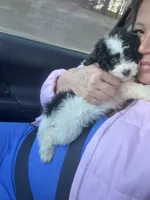 processed/edf1c7fb-dfea-4143-9672-b452f61e0e64/listing/bece3b52-bc42-4ece-8d60-62557218484a/cefbcd46-5973-47aa-bd88-d25b4d67afc5