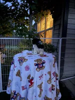 Hershey, a female Shih Tzu and Bichpoo for sale in Fayetteville, NC – 4 of 6