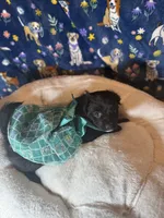 processed/edf1c7fb-dfea-4143-9672-b452f61e0e64/listing/ec2e1929-9b32-4c0c-95d5-ca135300dc68/4dd26d67-1509-4b0b-a7fa-eb417c53ed61