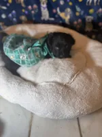 processed/edf1c7fb-dfea-4143-9672-b452f61e0e64/listing/ec2e1929-9b32-4c0c-95d5-ca135300dc68/50f39e84-b41d-45db-8c4e-9bdcb7d98332