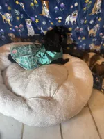 processed/edf1c7fb-dfea-4143-9672-b452f61e0e64/listing/ec2e1929-9b32-4c0c-95d5-ca135300dc68/bff15b4a-8a3c-4e34-bc42-0ddb4055b728