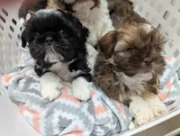 processed/edf65ea8-5c66-46e1-aaba-b8ed8d418846/listing/17afe6df-d346-4e66-ab64-8ac036110d96/181c9718-a311-4512-a690-62283d2262ea