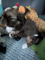 processed/edf65ea8-5c66-46e1-aaba-b8ed8d418846/listing/17afe6df-d346-4e66-ab64-8ac036110d96/1ac2ed98-5bbf-4c02-9bac-1589646e7645