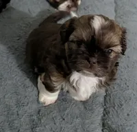 processed/edf65ea8-5c66-46e1-aaba-b8ed8d418846/listing/17afe6df-d346-4e66-ab64-8ac036110d96/636b47c2-46cc-4c80-9d6e-43bef9dcfbfa