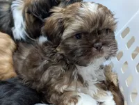 processed/edf65ea8-5c66-46e1-aaba-b8ed8d418846/listing/17afe6df-d346-4e66-ab64-8ac036110d96/6c0cb0a3-27cd-4471-acb5-35ed30f0804a