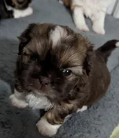 processed/edf65ea8-5c66-46e1-aaba-b8ed8d418846/listing/17afe6df-d346-4e66-ab64-8ac036110d96/cbf8bdeb-785d-4bc2-a467-993eea67a6db