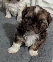 processed/edf65ea8-5c66-46e1-aaba-b8ed8d418846/listing/17afe6df-d346-4e66-ab64-8ac036110d96/cf3dd60f-ca89-4cac-bc8c-e801598509d7