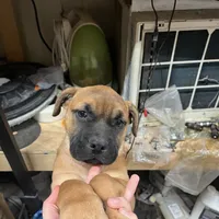 processed/ee00e669-3ce3-4d43-9df4-20be58ecfc80/facility/0ee4816f-bbe9-4e11-b245-3a6e5ec345ff