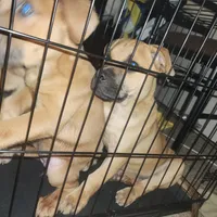 processed/ee00e669-3ce3-4d43-9df4-20be58ecfc80/facility/227864f1-f75b-4640-8822-2a4f22bca393