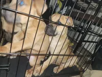 processed/ee00e669-3ce3-4d43-9df4-20be58ecfc80/facility/227864f1-f75b-4640-8822-2a4f22bca393