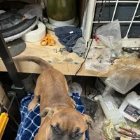 processed/ee00e669-3ce3-4d43-9df4-20be58ecfc80/facility/2416f5c4-c5dd-4099-86df-7d8854c415d2