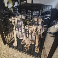 processed/ee00e669-3ce3-4d43-9df4-20be58ecfc80/facility/33614544-4829-44cb-a4f9-086bb717b68a