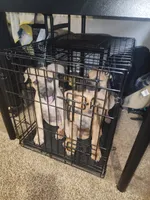 processed/ee00e669-3ce3-4d43-9df4-20be58ecfc80/facility/33614544-4829-44cb-a4f9-086bb717b68a