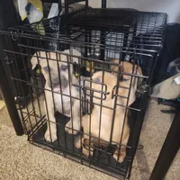 processed/ee00e669-3ce3-4d43-9df4-20be58ecfc80/facility/3fbfe3c5-b3a4-4f86-ae2f-be683aa5cfc5