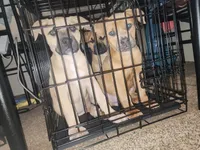 processed/ee00e669-3ce3-4d43-9df4-20be58ecfc80/facility/57f3177d-3b74-4fe5-b0e6-6461be83858f