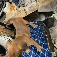 processed/ee00e669-3ce3-4d43-9df4-20be58ecfc80/facility/ca5aa196-3552-42bf-a186-b88b1a733c7e